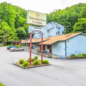 Smoketree Lodge